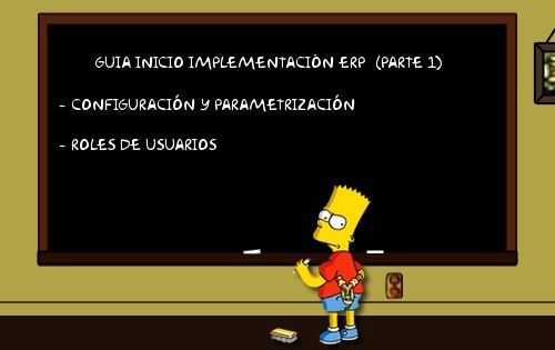 Guía inicio implementación del ERP: configuración-parametrización y roles